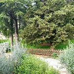 Apartmán Domus Aromatica