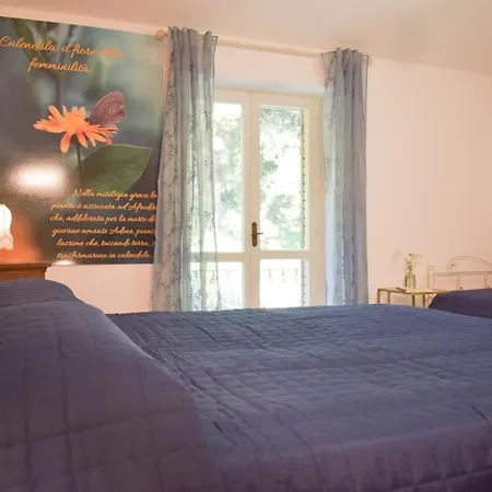 Domus Aromatica Apartment