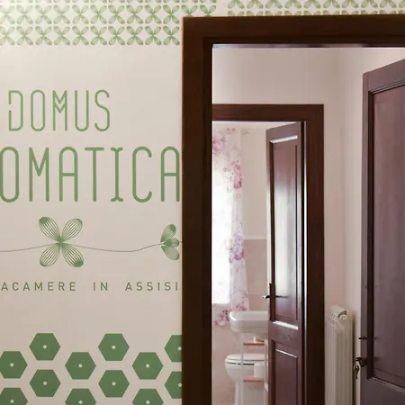 Domus Aromatica *