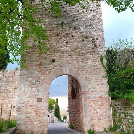 شقة Domus Aromatica *