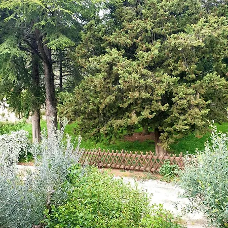 Apartamento Domus Aromatica