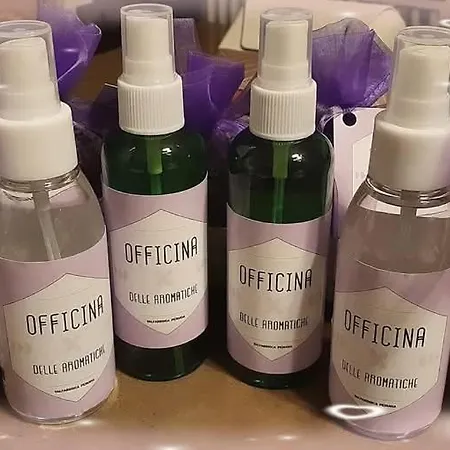 Domus Aromatica Апартаменты Ассизи