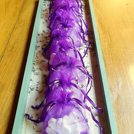 شقة Domus Aromatica *