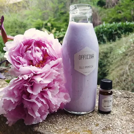 Domus Aromatica * Assisi