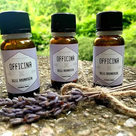 Domus Aromatica شقة أسيسي