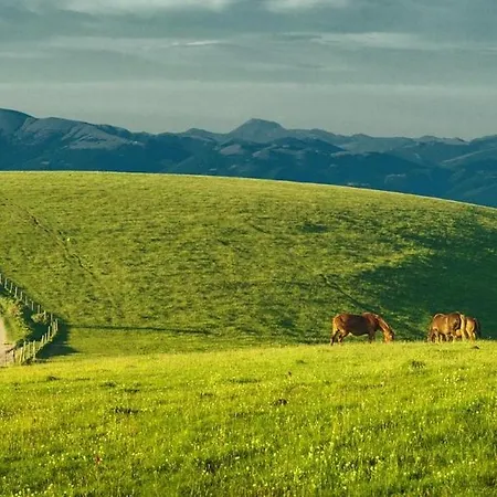 Domus Aromatica Apartment