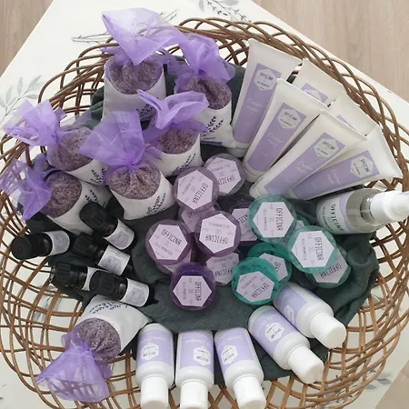 Domus Aromatica شقة أسيسي