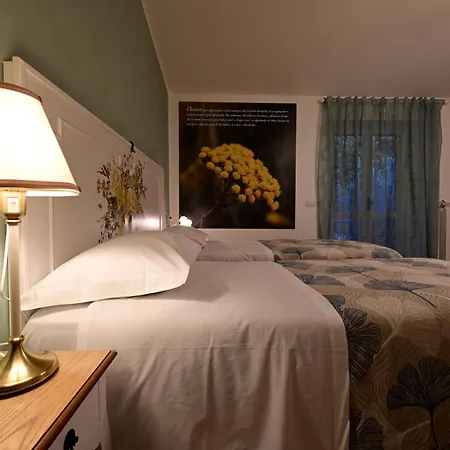 Apartment Domus Aromatica Assisi