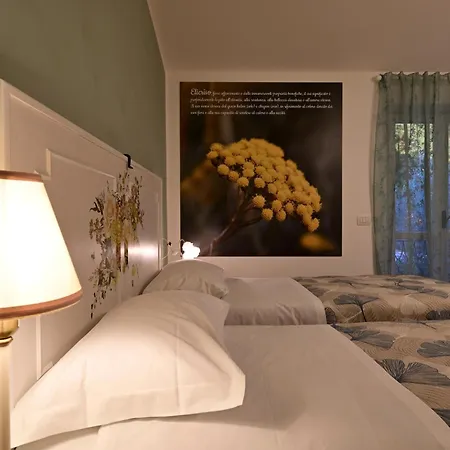Apartamento Domus Aromatica Asís