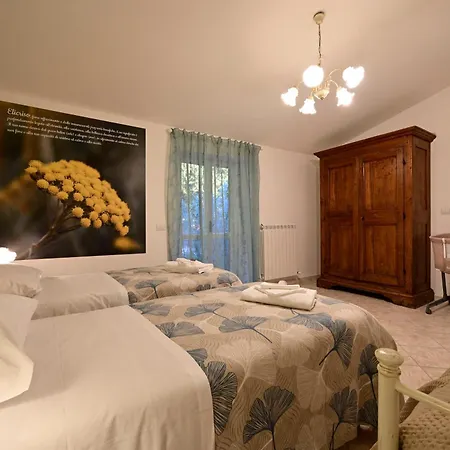 Domus Aromatica Assisi