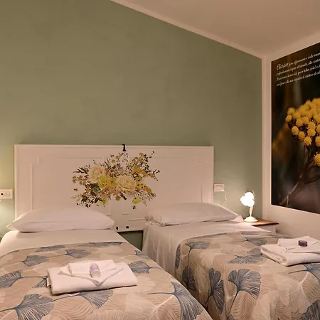 Domus Aromatica * أسيسي