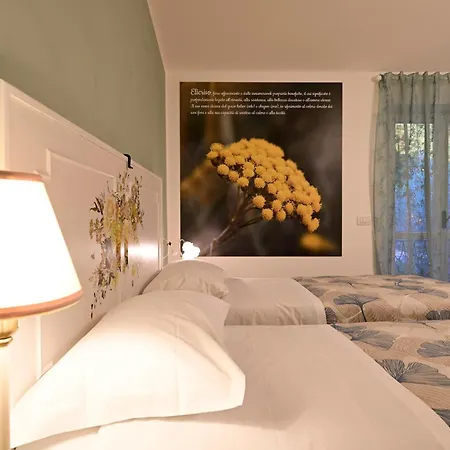 Apartment Domus Aromatica