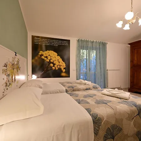 Domus Aromatica Assisi