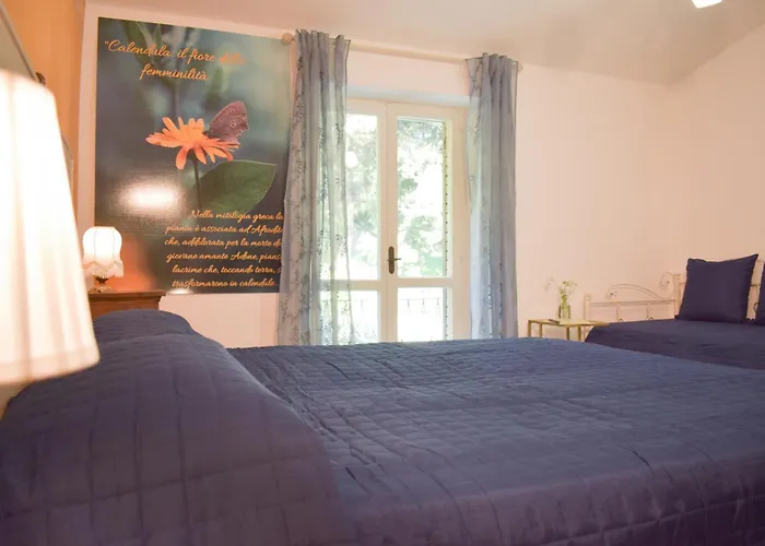 Domus Aromatica Apartamento