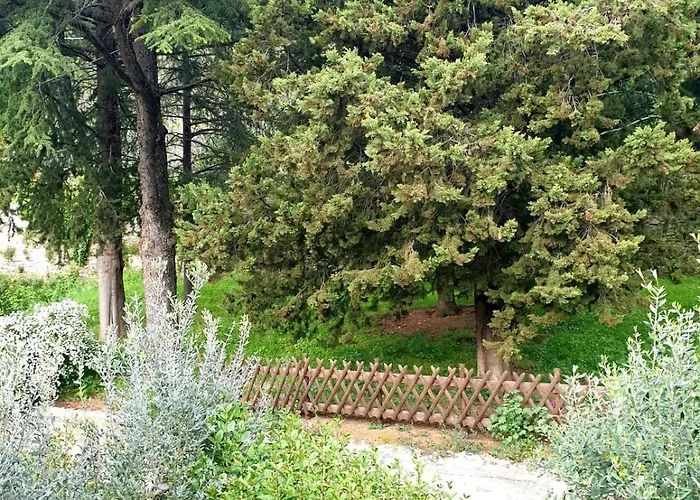 Apartamento Domus Aromatica