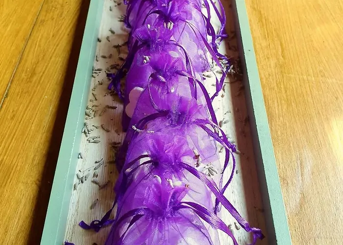 Apartamento Domus Aromatica *