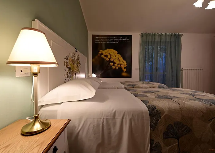 Apartamento Domus Aromatica Assisi