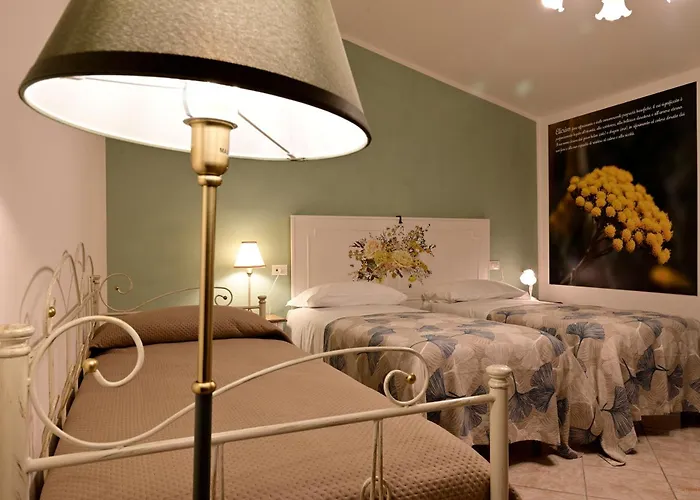 Domus Aromatica Assisi