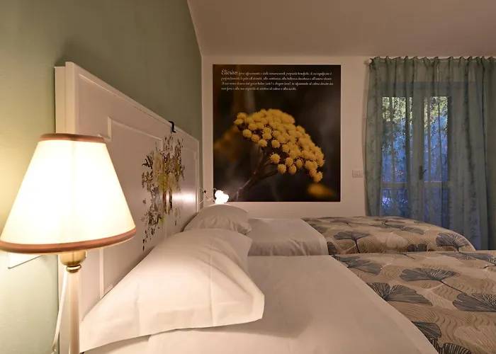 Apartamento Domus Aromatica Assisi