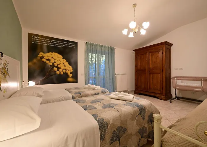 Domus Aromatica Assisi