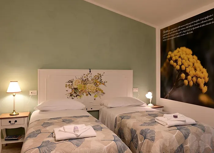 Domus Aromatica * Assisi