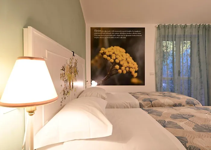 Apartamento Domus Aromatica