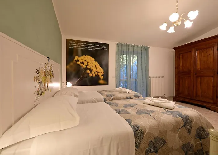 Domus Aromatica Assisi